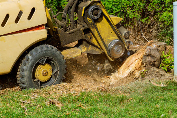 Lawn Irrigation Installation and Maintenance in Bovina, TX